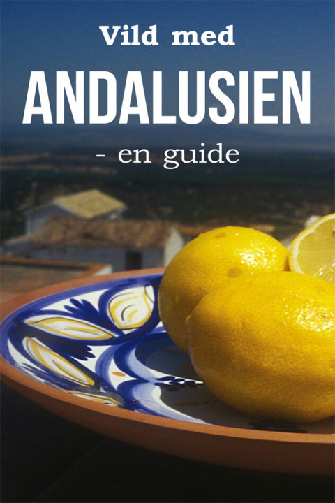 Omslag: Vild med Andalusien