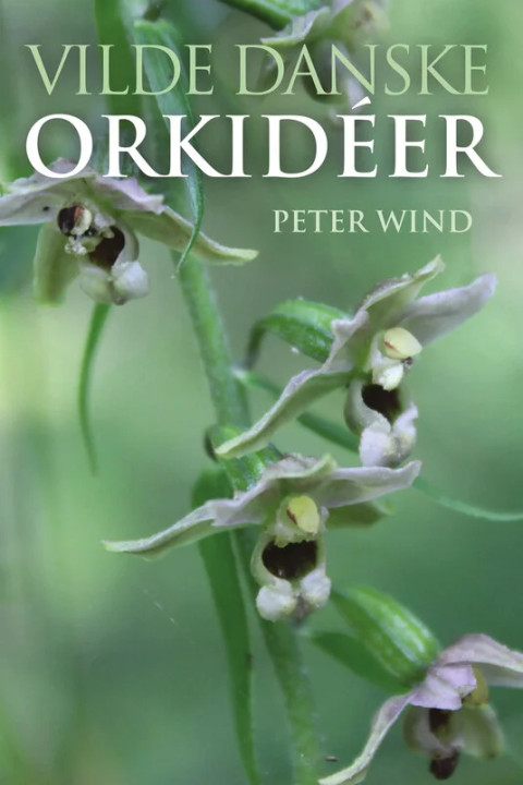 Omslag: Vilde danske orkidéer