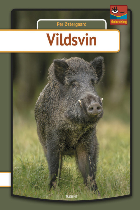 Omslag: Vildsvin