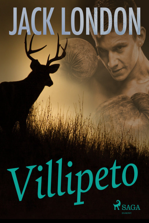 Omslag: Villipeto