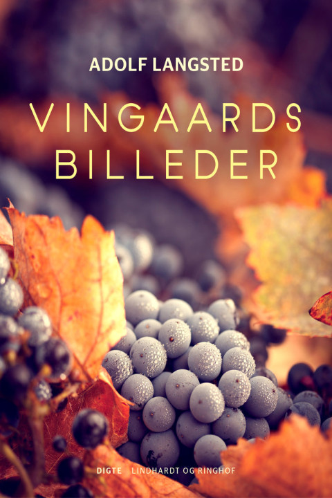 Omslag: Vingaardsbilleder