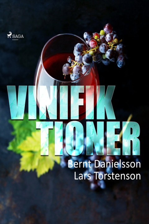 Omslag: Vinifiktioner