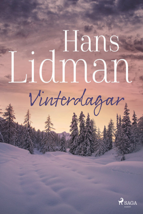 Omslag: Vinterdagar
