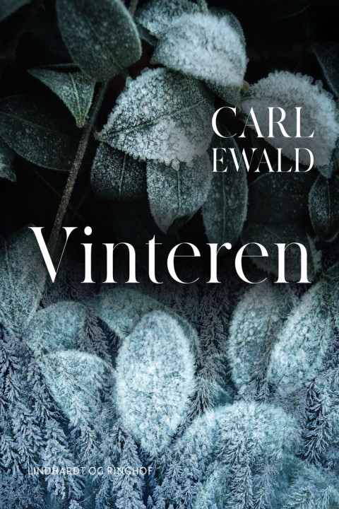 Omslag: Vinteren