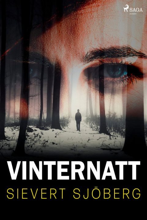 Omslag: Vinternatt