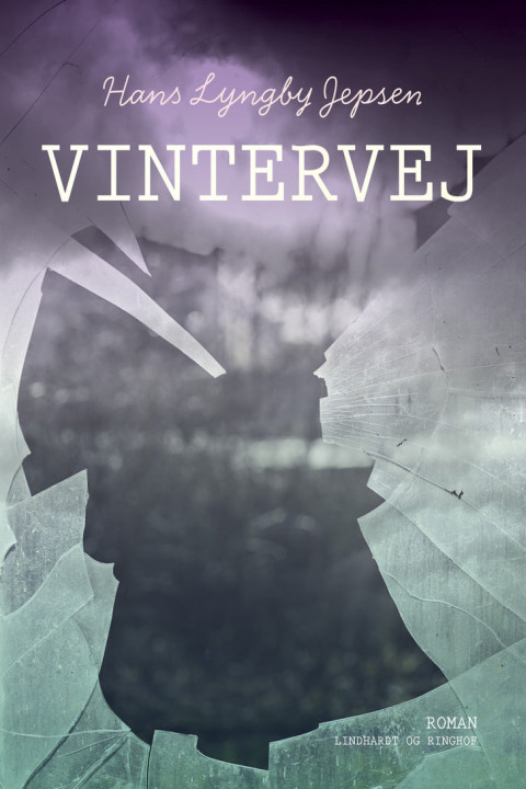 Omslag: Vintervej