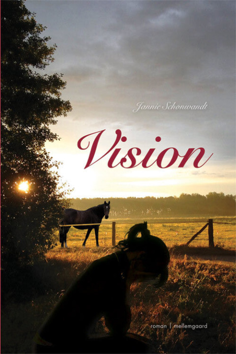 Omslag: Vision