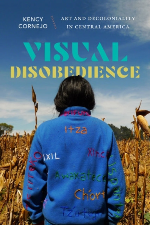 Omslag: Visual Disobedience