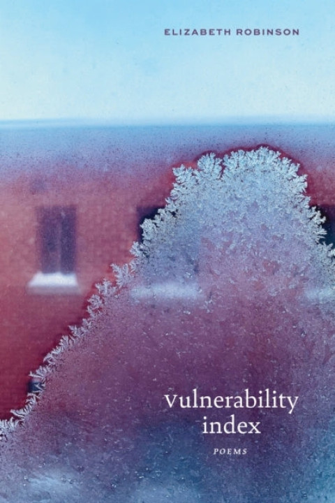 Omslag: Vulnerability Index
