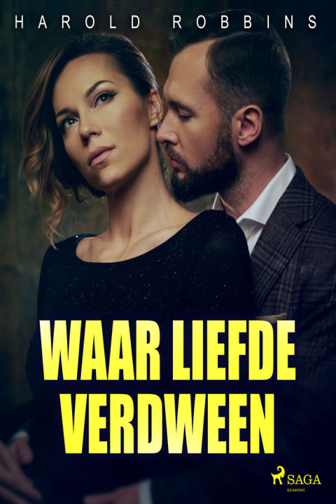 Omslag: Waar liefde verdween