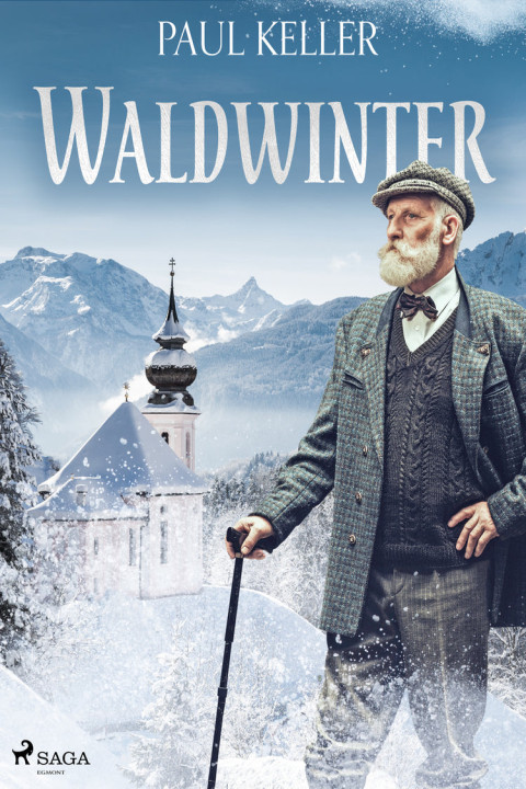 Omslag: Waldwinter