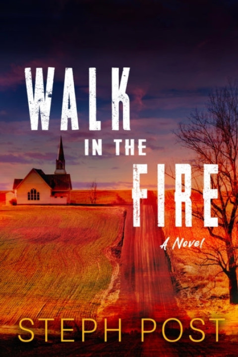 Omslag: Walk in the Fire