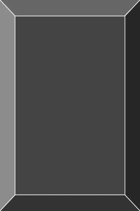 Omslag: Walkthrough black sites