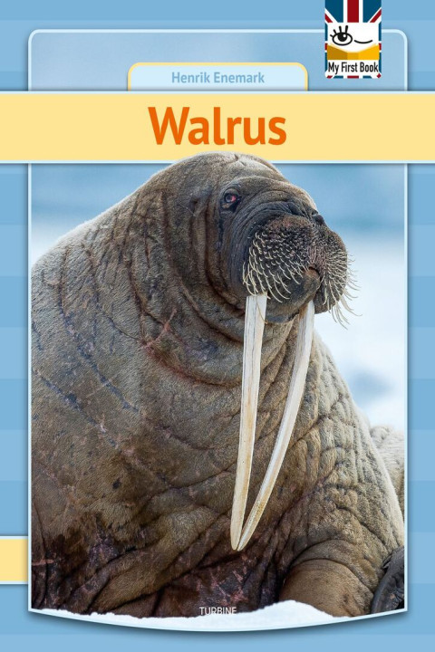 Omslag: Walrus