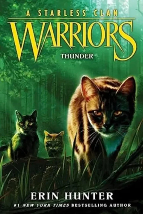 Omslag: Warriors: A Starless Clan #4: Thunder