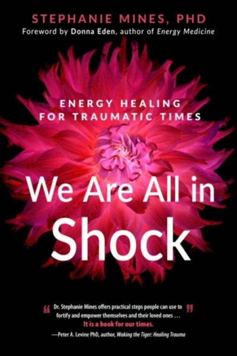 Omslag: We Are All in Shock