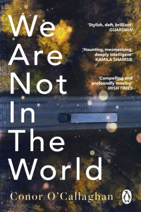 Omslag: We Are Not in the World