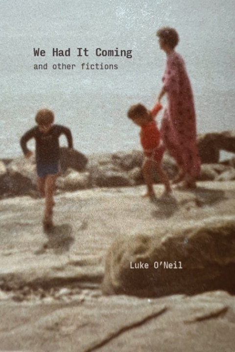 Omslag: We Had It Coming