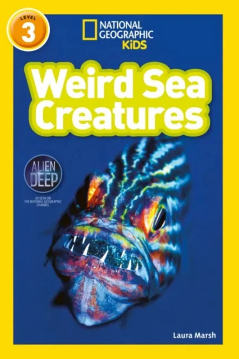 Omslag: Weird Sea Creatures - Level 3
