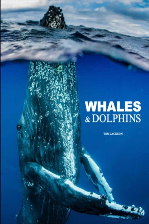 Omslag: Whales & Dolphins