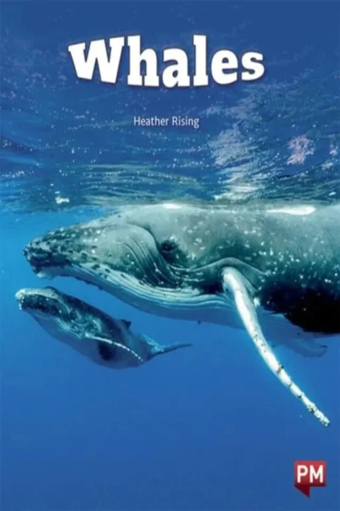 Omslag: WHALES