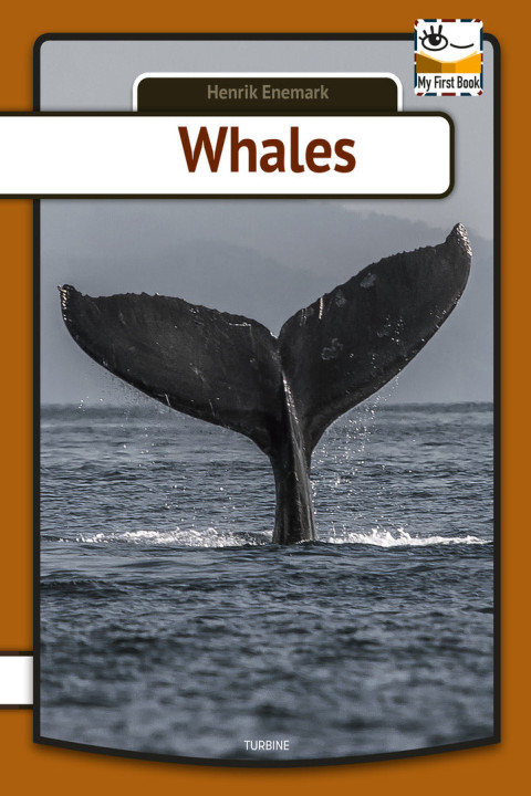 Omslag: Whales