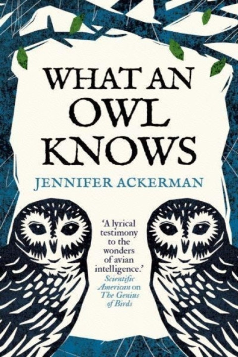 Omslag: What an Owl Knows