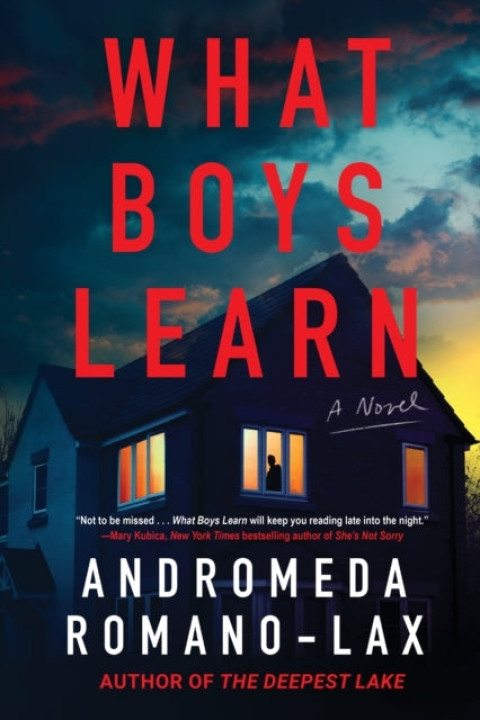 Omslag: What Boys Learn