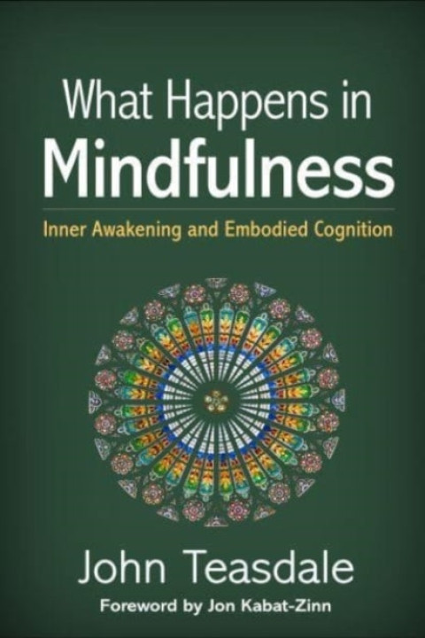 Omslag: What Happens in Mindfulness