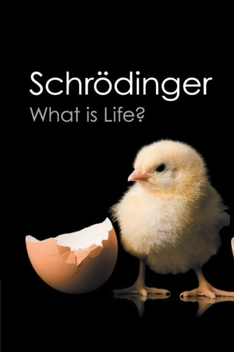 Omslag: What Is Life?