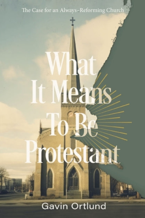 Omslag: What It Means to Be Protestant