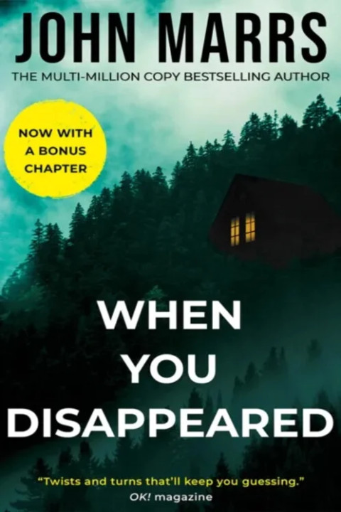 Omslag: When You Disappeared