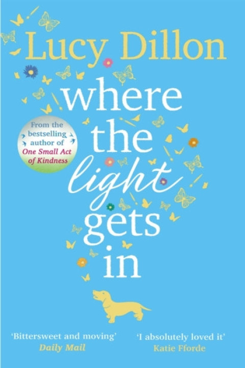 Omslag: Where the Light Gets in