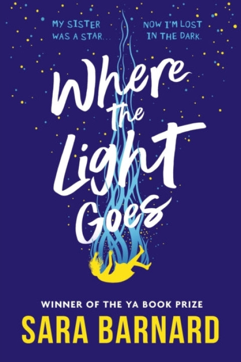 Omslag: Where the Light Goes
