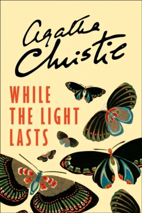 Omslag: While the Light Lasts