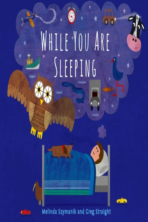 Omslag: While You Are Sleeping