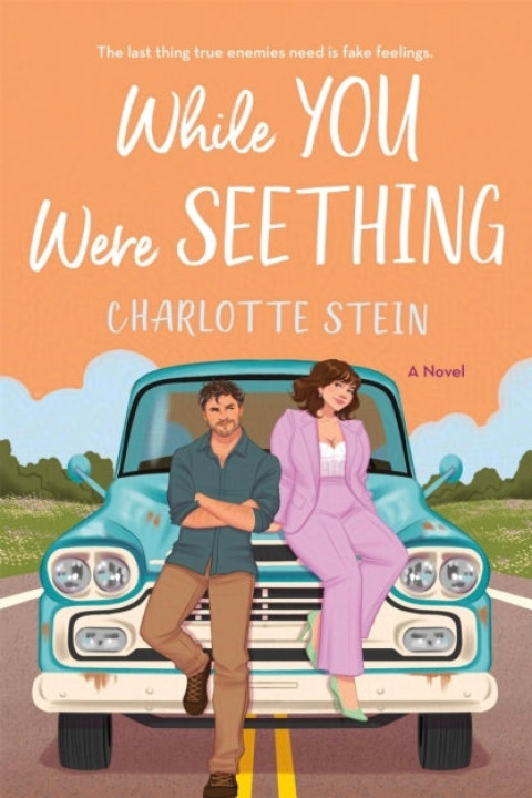 Omslag: WHILE YOU WERE SEETHING