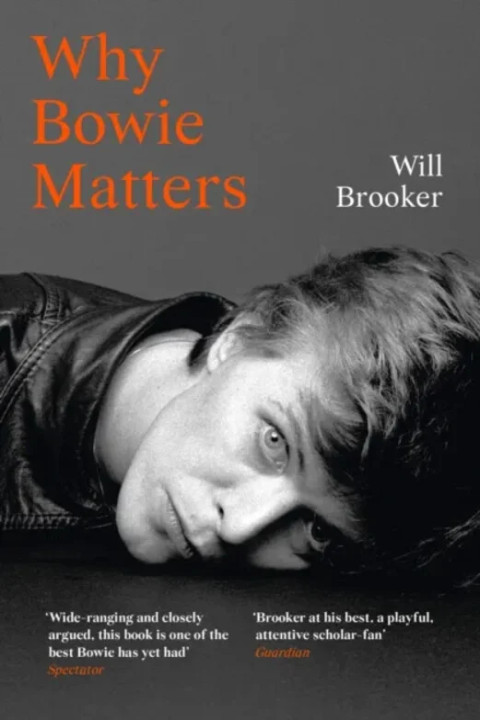 Omslag: Why Bowie Matters