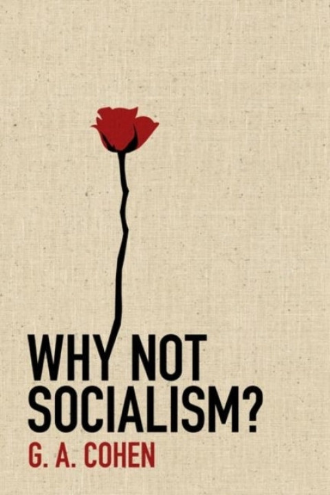 Omslag: Why Not Socialism?