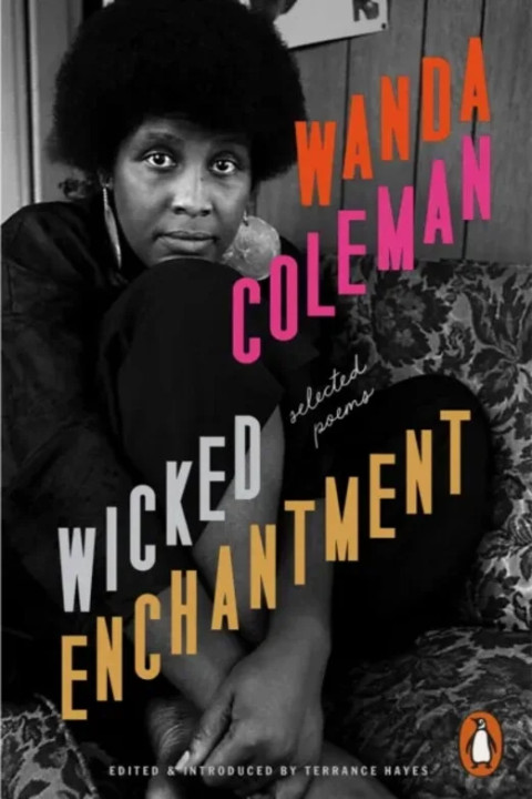 Omslag: Wicked Enchantment - Selected Poems