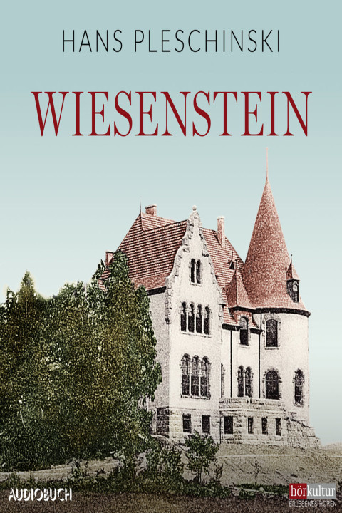 Omslag: Wiesenstein