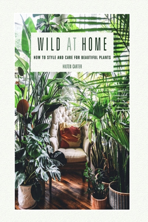 Omslag: Wild at Home