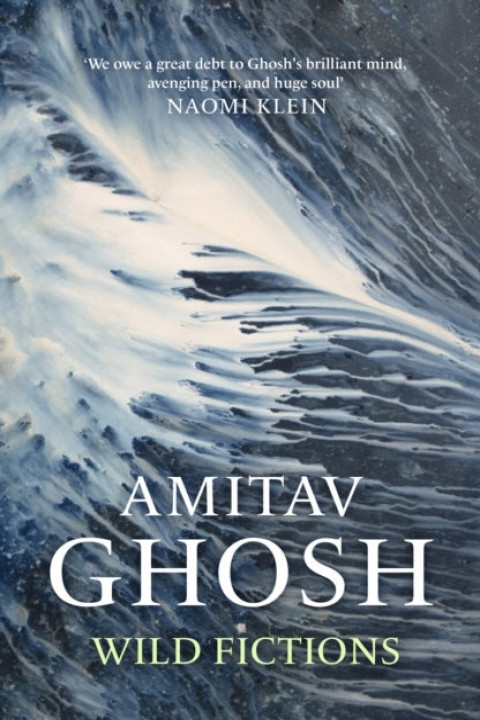 Omslag: Wild Fictions