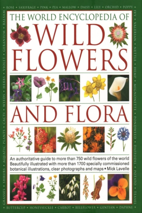 Omslag: Wild Flowers & Flora