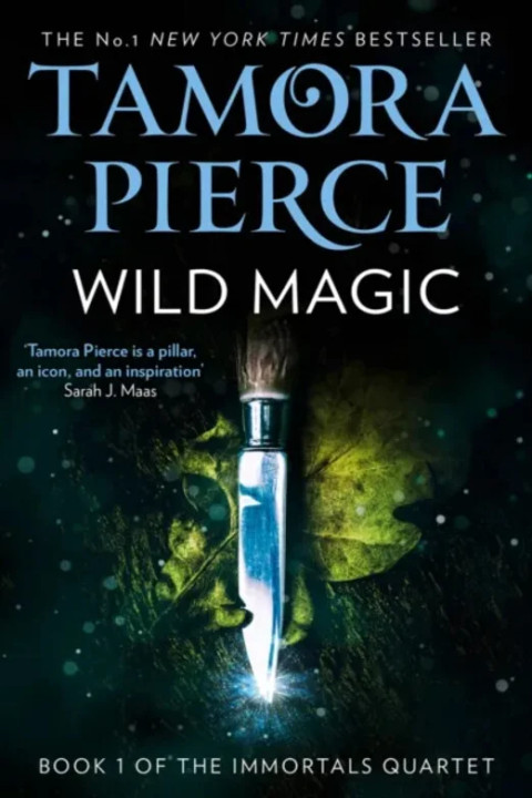 Omslag: Wild Magic