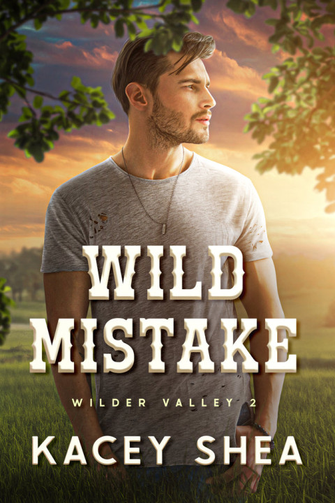 Omslag: Wild Mistake