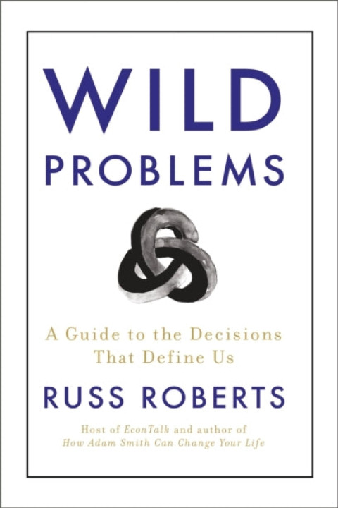 Omslag: Wild Problems