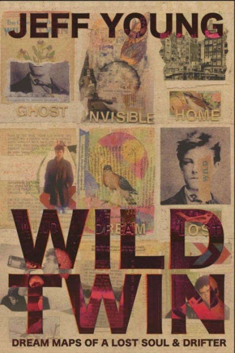 Omslag: Wild Twin