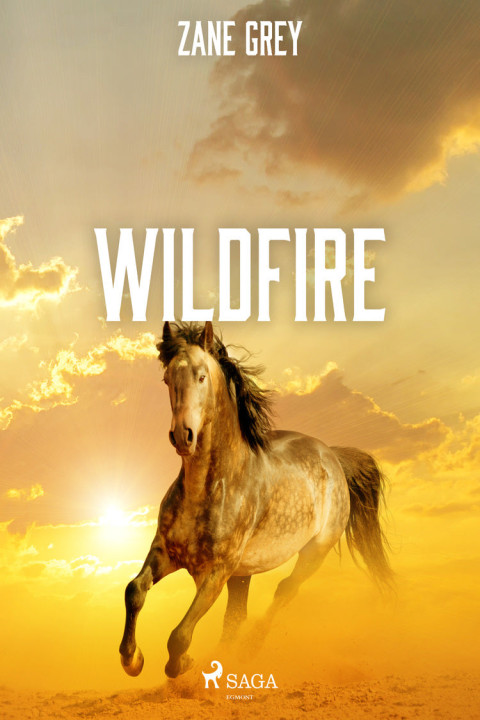 Omslag: Wildfire