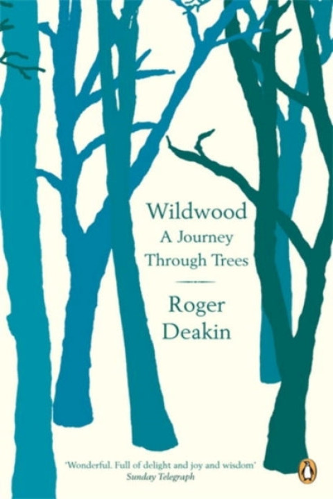 Omslag: Wildwood